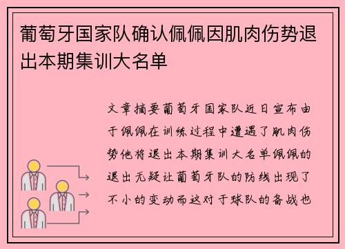 葡萄牙国家队确认佩佩因肌肉伤势退出本期集训大名单